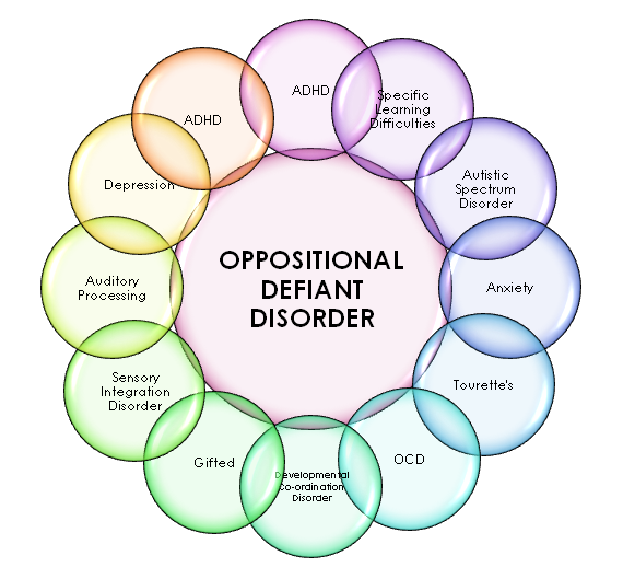 Ảnh 1 của Oppositional defiant disorder