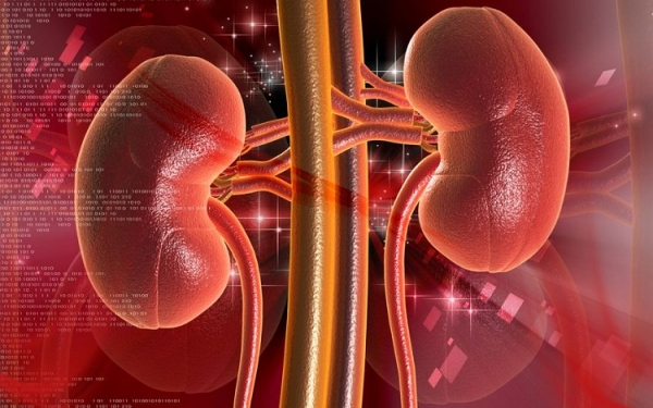 Ảnh 4 của Polycystic Kidney Disease