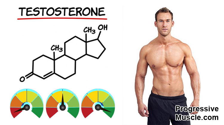Testosterone chẩn đoán bệnh gì? và hướng dẫn đọc kết quả