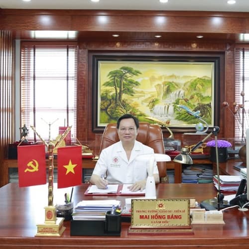 Mai Hồng Bàng - Hình 1