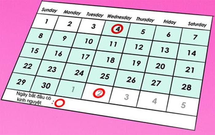 Cách tính ngày rụng trứng giúp vợ chồng dễ thụ thai