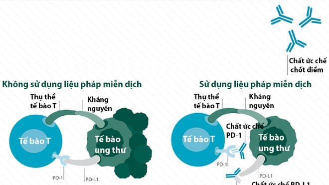 Điều trị ung thư của liệu pháp ức chế chốt kiểm soát miễn dịch