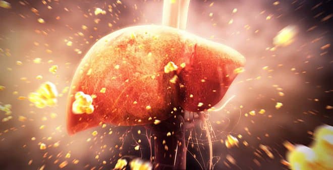 Vai trò và chức năng của men gan - Nguyên nhân khiến men gan tăng cao (Kỳ II)