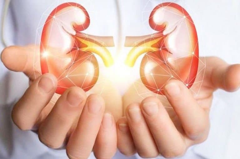 Sự khác nhau giữa bệnh thận mạn ở nam và nữ