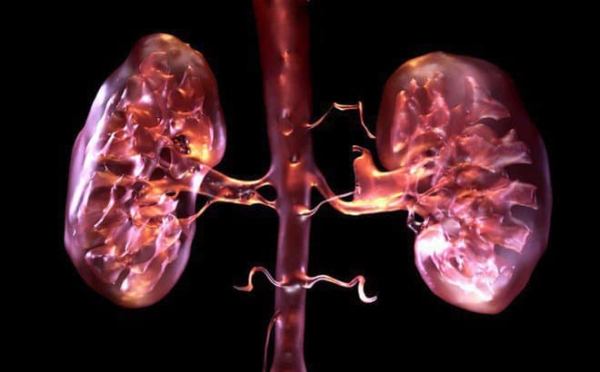 Suy thận mạn có mấy giai đoạn và Các phương pháp điều trị hiệu quả
