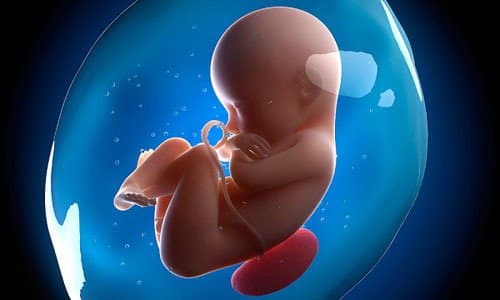 Sự phát triển của thai nhi tuần 20 mẹ bầu cần biết