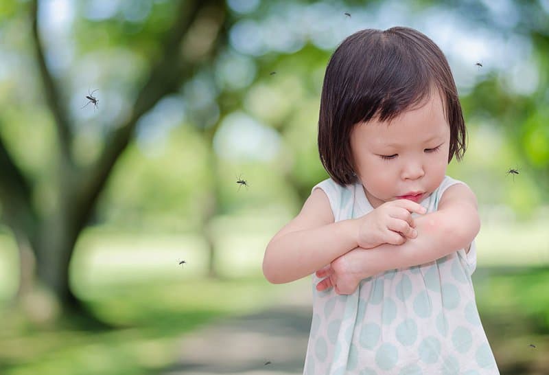 Sốt xuất huyết có các cấp độ nào? và dấu hiệu nhận biết