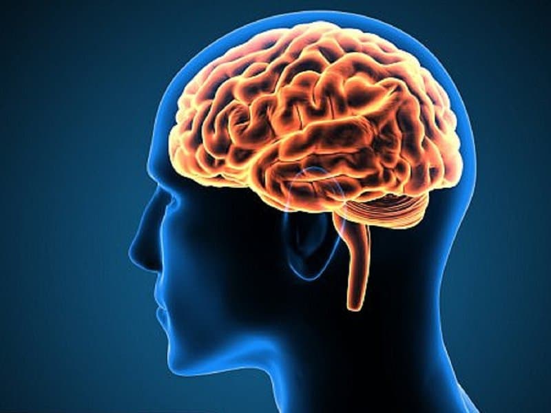 Tìm hiểu phương pháp nút túi phình động mạch não