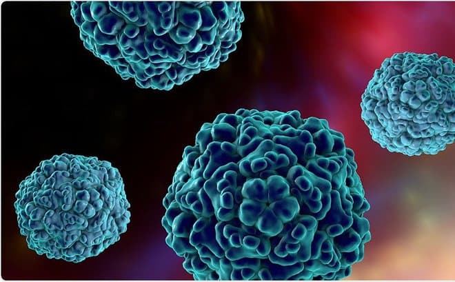 Coxsackie virus A16 và Enterovirus 71 (EV71) là Tác nhân gây tay chân miệng