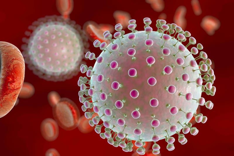 Virus Zika là gì? Đường lây truyền của virus Zika