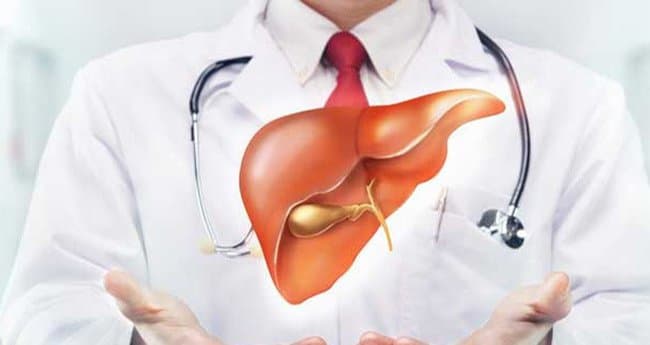 Gan nhiễm mỡ do rượu bia: Những điều cần biết