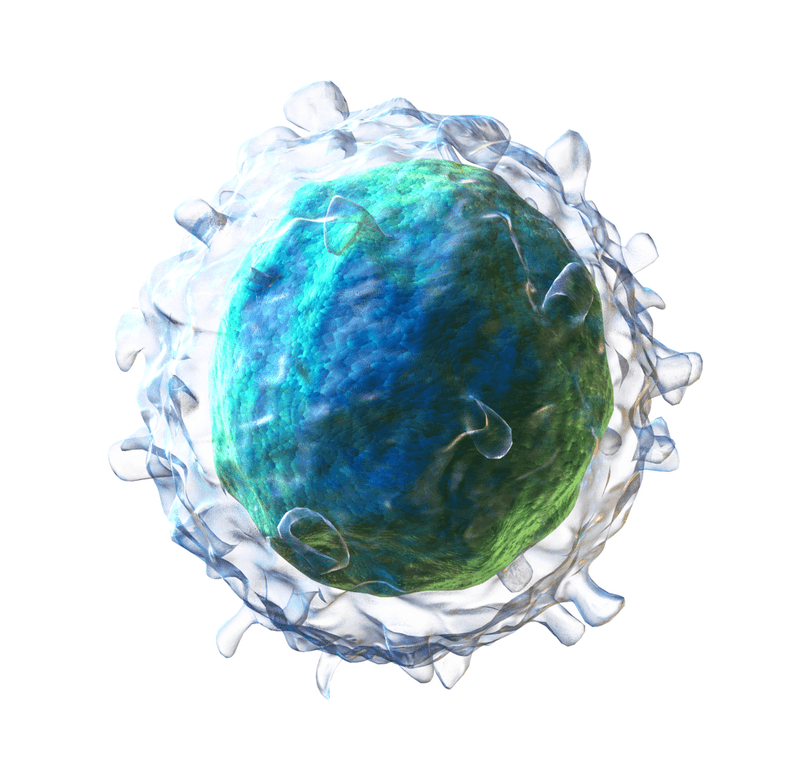 Virus EBV gây bệnh gì?