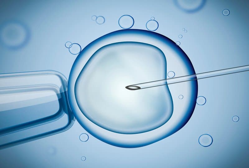 Làm IVF lần 1 thất bại, Thì sau bao lâu mới làm IVF lần 2?