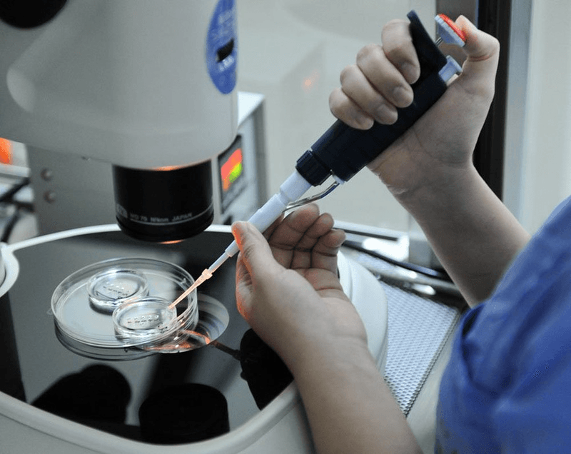 Tìm hiểu ưu và nhước điểm về kỹ thuật tiêm tinh trùng vào bào tương của noãn (ICSI)