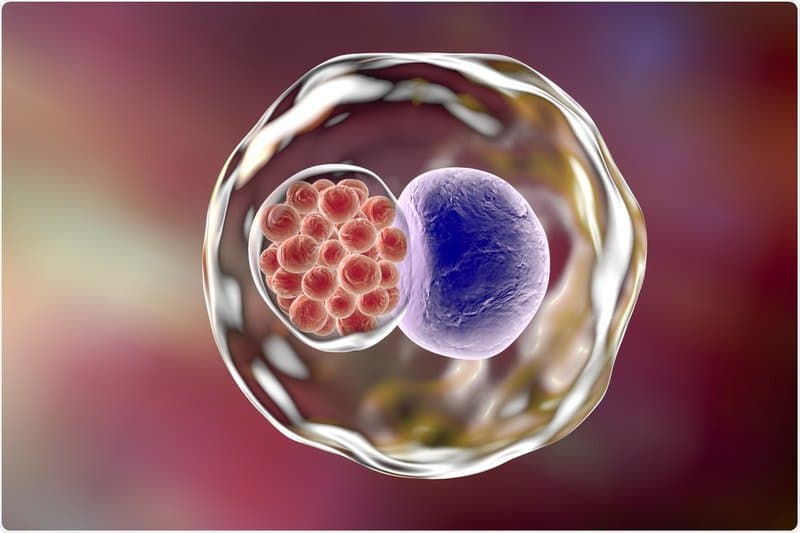 Bệnh do nhiễm Chlamydia Trachomatis sinh dục – tiết niệu