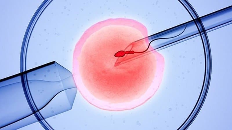 Tại sao phôi tốt nhưng vẫn không có thai khi làm thụ tinh ống nghiệm IVF?