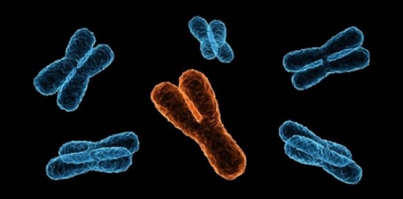 Hội chứng kháng androgen là gì? Nguyên nhân, biểu diện và Cách điều trị
