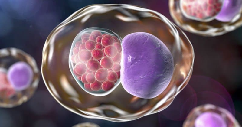 Điều trị vô sinh bằng phương pháp Gây mê nội khí quản nội soi
