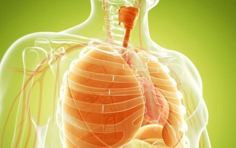Vật lý trị liệu trong phục hồi bệnh hô hấp là gì? Quy trình thực hiện