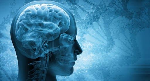 Những Tiêu chuẩn nào chẩn đoán chết não?