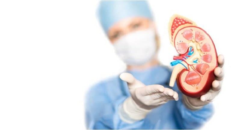 Bệnh thận mãn – Những điều bạn cần biết