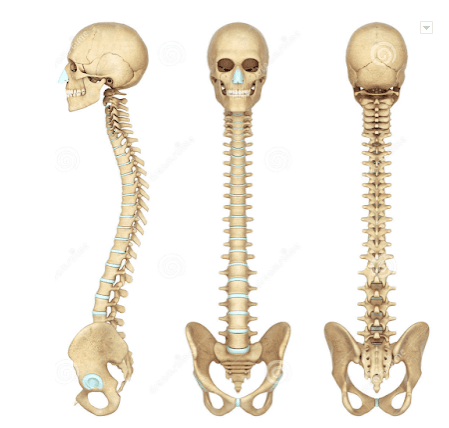 Vẹo cột sống: Những điều cần biết