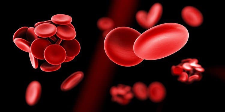 Các loại cục máu đông thường gặp