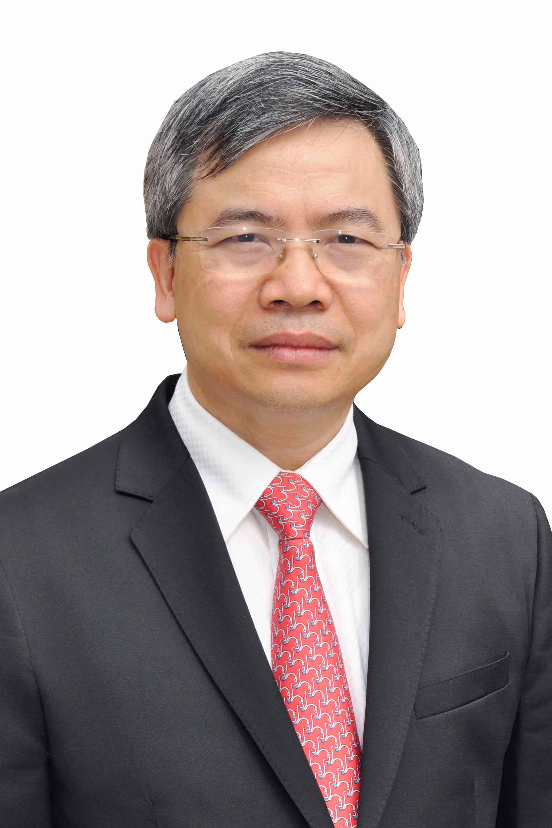 Phạm Minh Thông - Hình 1