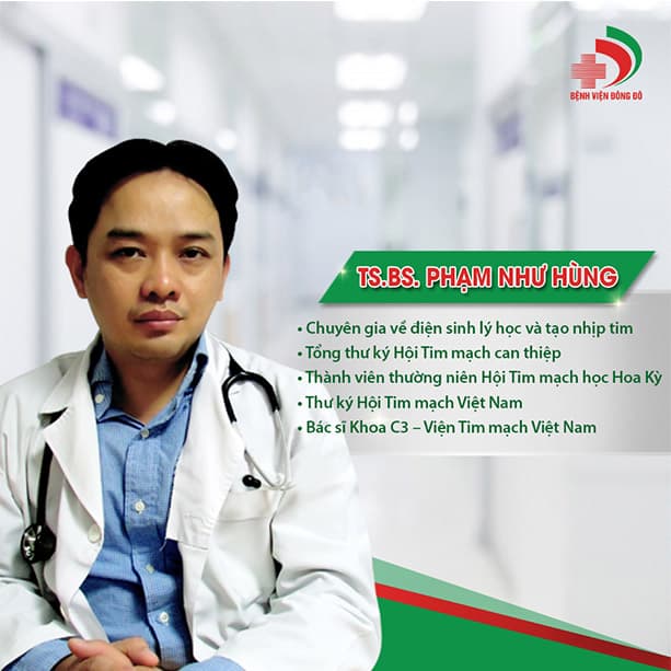 Phạm Như Hùng - Hình 1