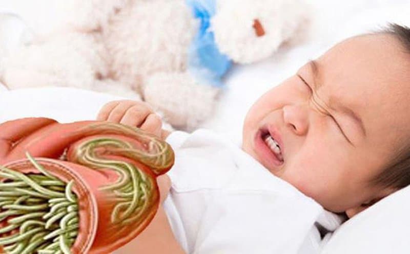 Một số loại giun sán thường gặp ở trẻ em