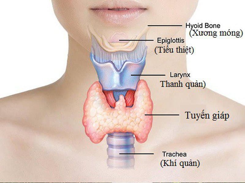 Những phương pháp điều trị ung thư tuyến giáp