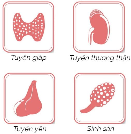 Bác sĩ khám nội tiết giỏi tại hà nội