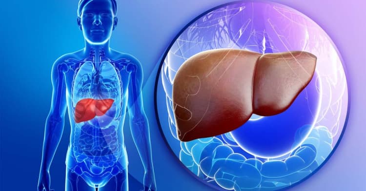 Top Địa Điểm Xét Nghiệm Viêm Gan C Đáng Tin Cậy Tại Hà Nội