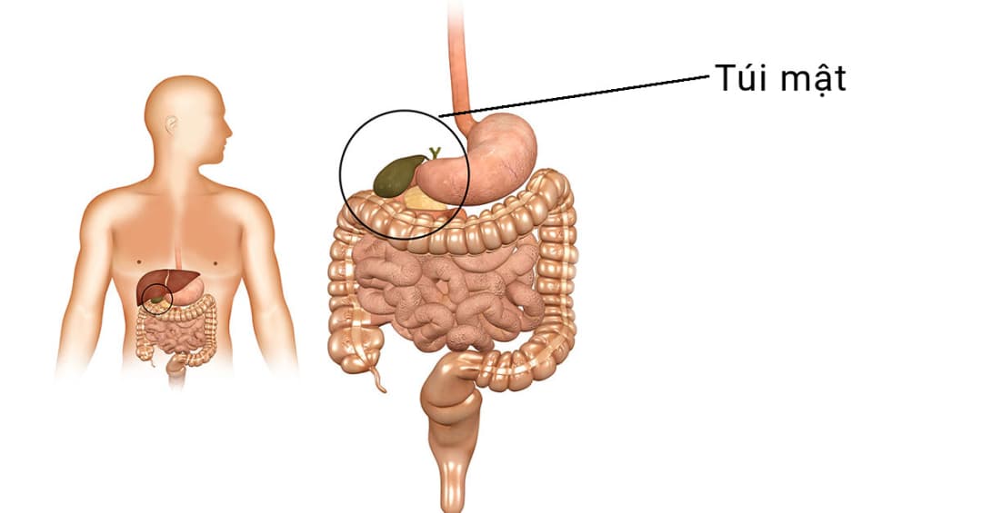 5 cơ sở y tế tư nhân hàng đầu tại Hà Nội chuyên điều trị polyp túi mật hiệu quả