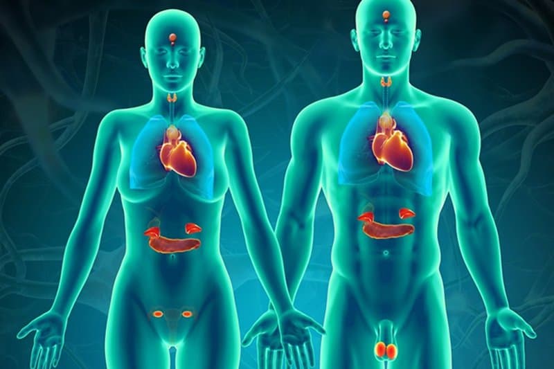 Chuyên gia khám và điều trị các bệnh nội tiết hàng đầu tại Hà Nộ
