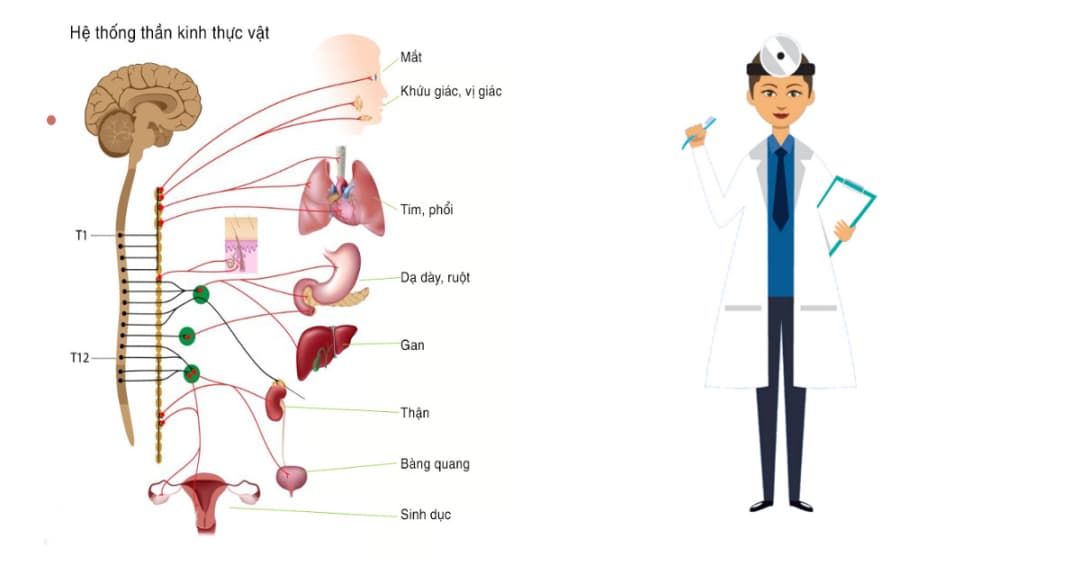 10 bác sĩ hàng đầu điều trị rối loạn thần kinh thực vật tại Hà Nội
