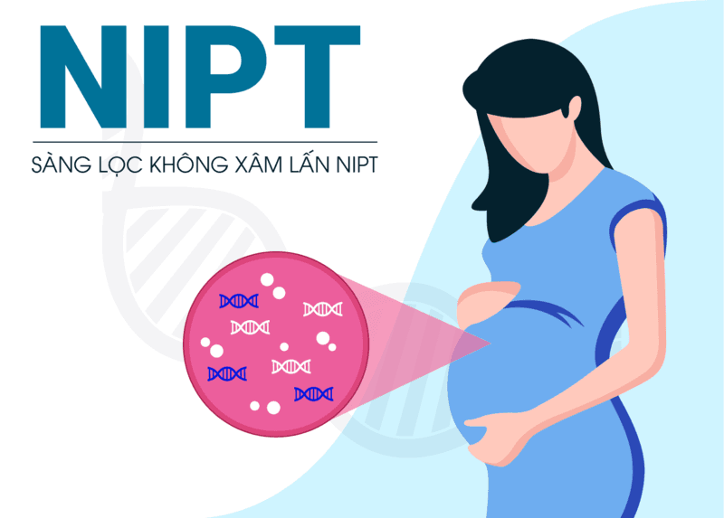 Chi tiết các gói xét nghiệm NIPT tại Medlatec - Lựa chọn gói phù hợp cho bạn
