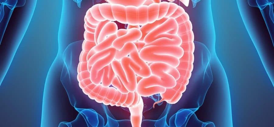 6 Bệnh Viện và Phòng Khám Tư Nhân Chuyên Khám Chữa Bệnh Tiêu Hóa Uy Tín Tại Hà Nội
