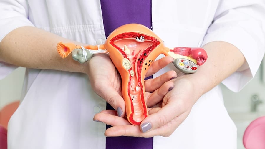 Top 5 Bác Sĩ Điều Trị Viêm Âm Đạo Uy Tín Tại Hà Nội