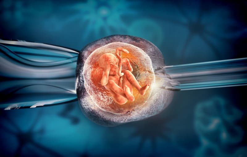 Khám Phá Địa Chỉ Mini IVF Uy Tín Nhất Tại Hà Nội