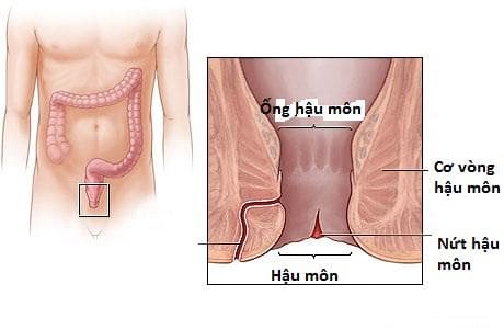 Nơi khám và thực hiện nội soi hậu môn đáng tin cậy