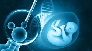 9 bác sĩ giỏi về thụ tinh trong ống nghiệm (IVF) tại Hà Nội