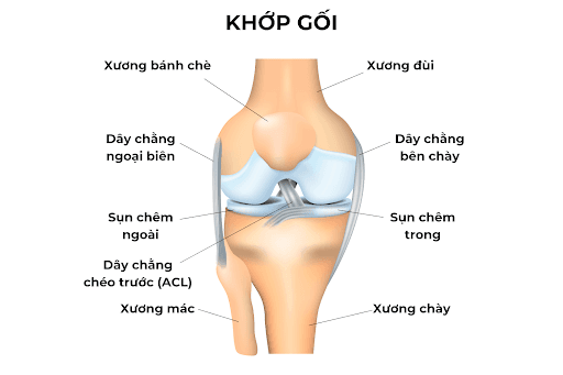 LỰA CHỌN ĐỊA ĐIỂM UY TÍN TẬP PHỤC HỒI CHỨC NĂNG SAU PHẪU THUẬT DÂY CHẰNG CHÉO TRƯỚC