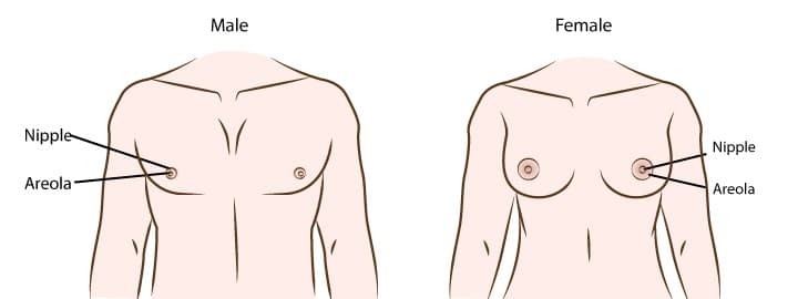 [TP.HCM] Nâng ngực chuyển giới uy tín, đẹp tự nhiên tại Thẩm mỹ Thu Cúc Sài Gòn