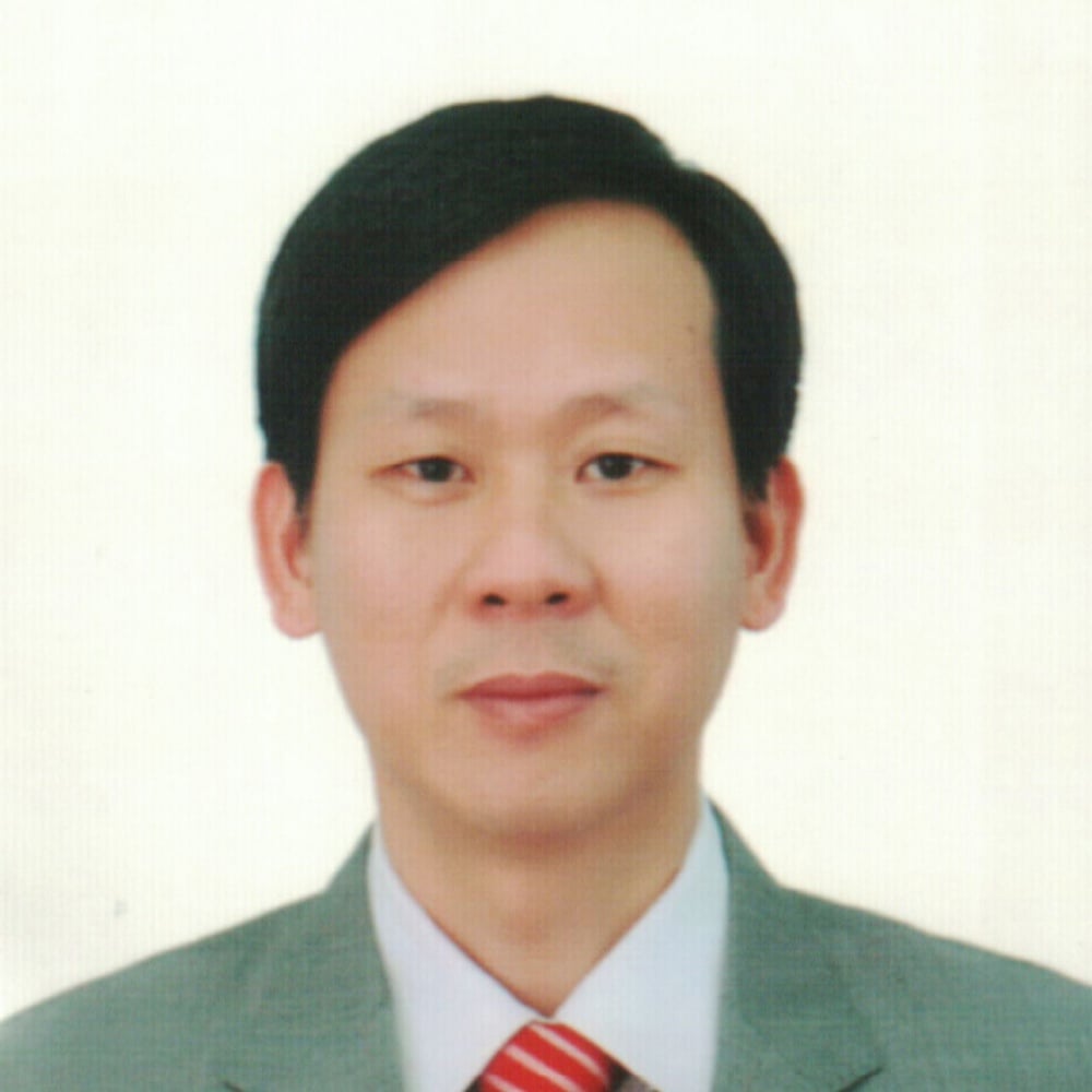 Đỗ Đào Vũ - Hình 1