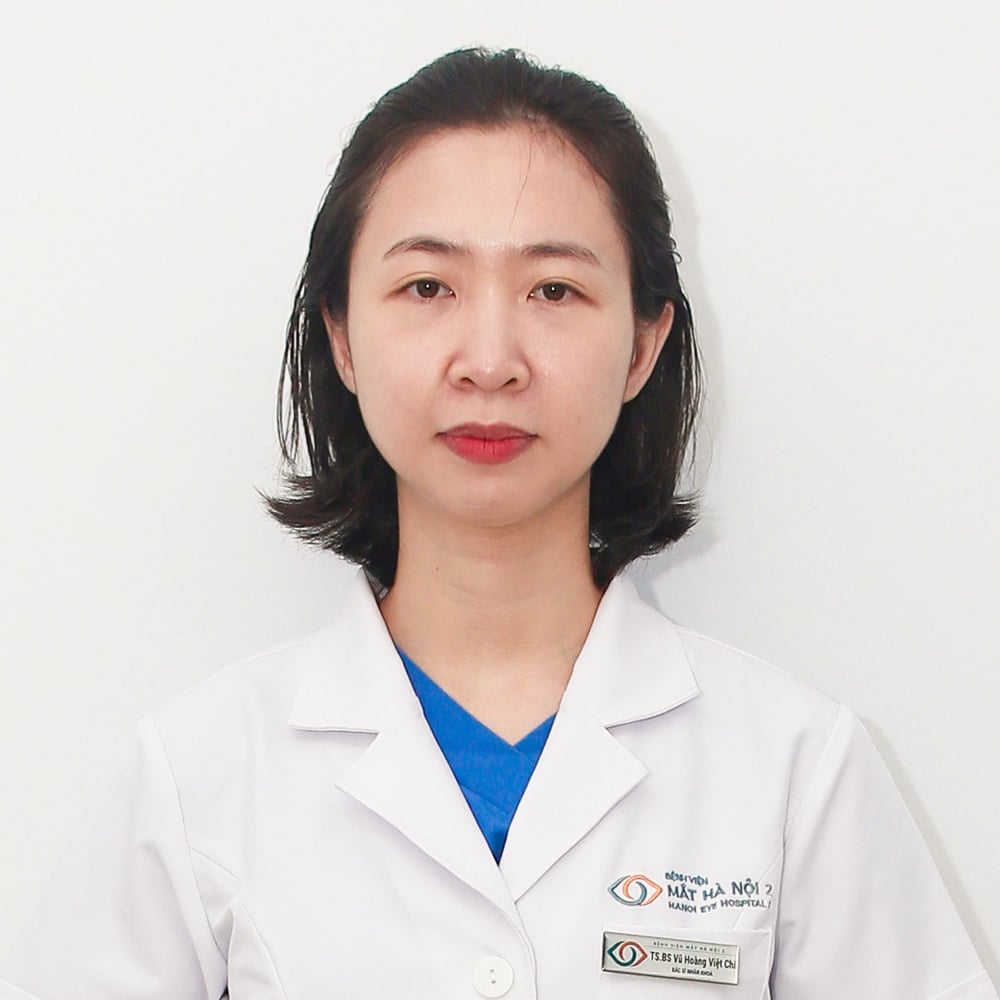 Vũ Hoàng Việt Chi - Hình 1