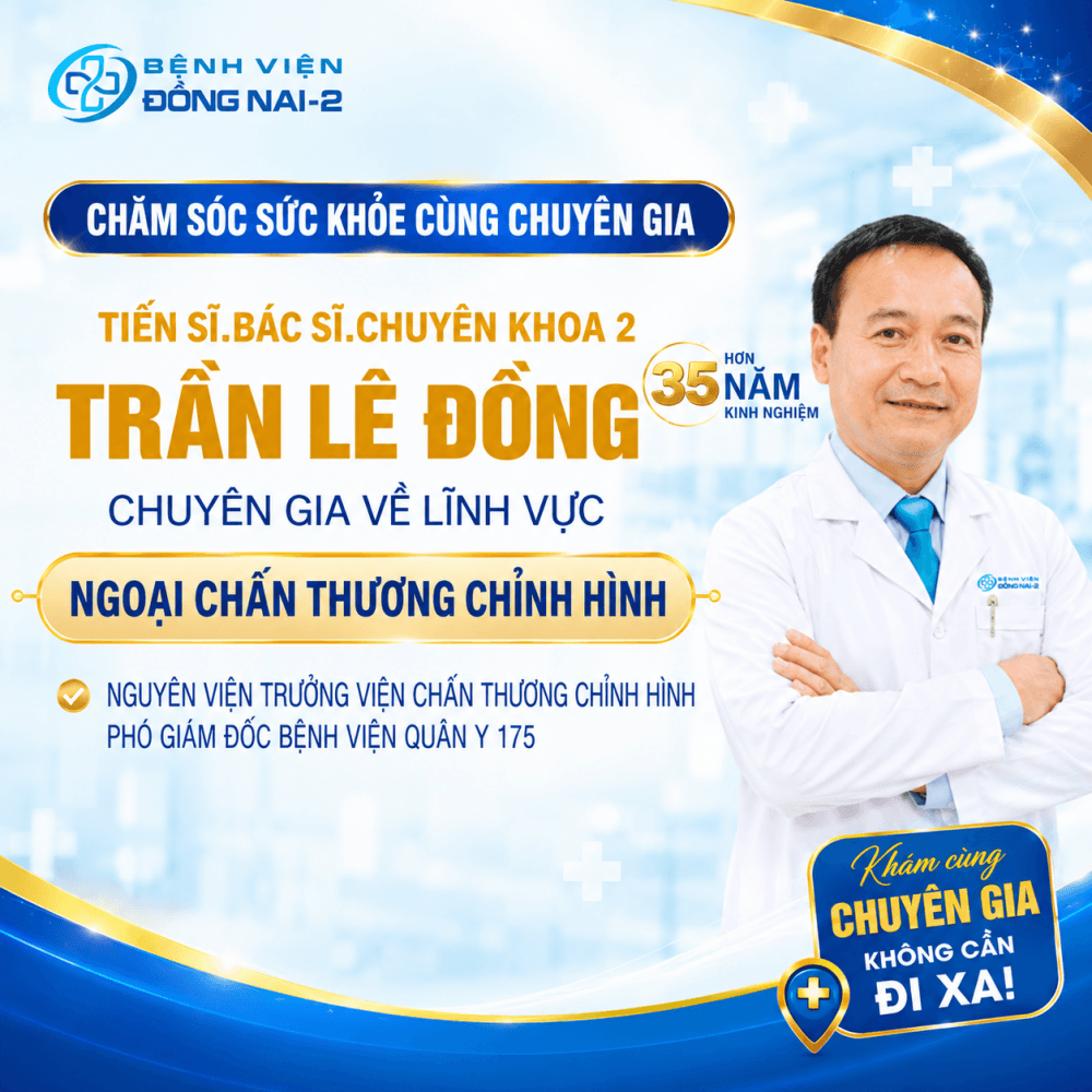 Trần Lê Đồng - Hình 1