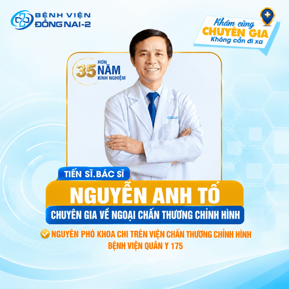 Nguyễn Anh Tố - Hình 1