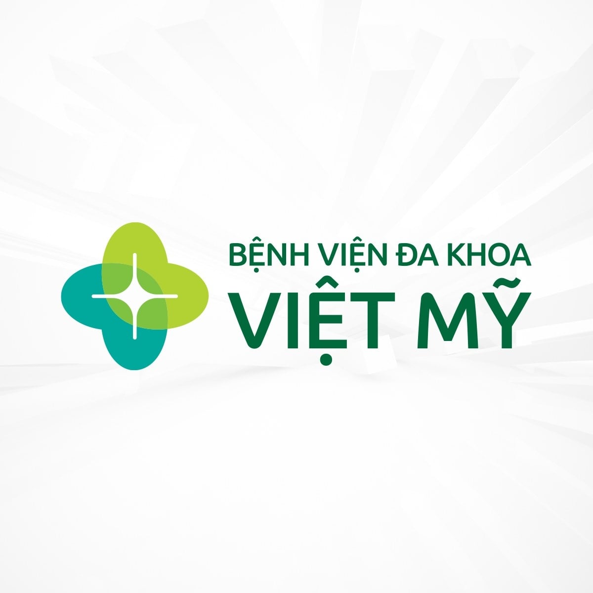 Bệnh viện đa khoa Việt Mỹ (TP Hồ Chí Minh) - Hình 1