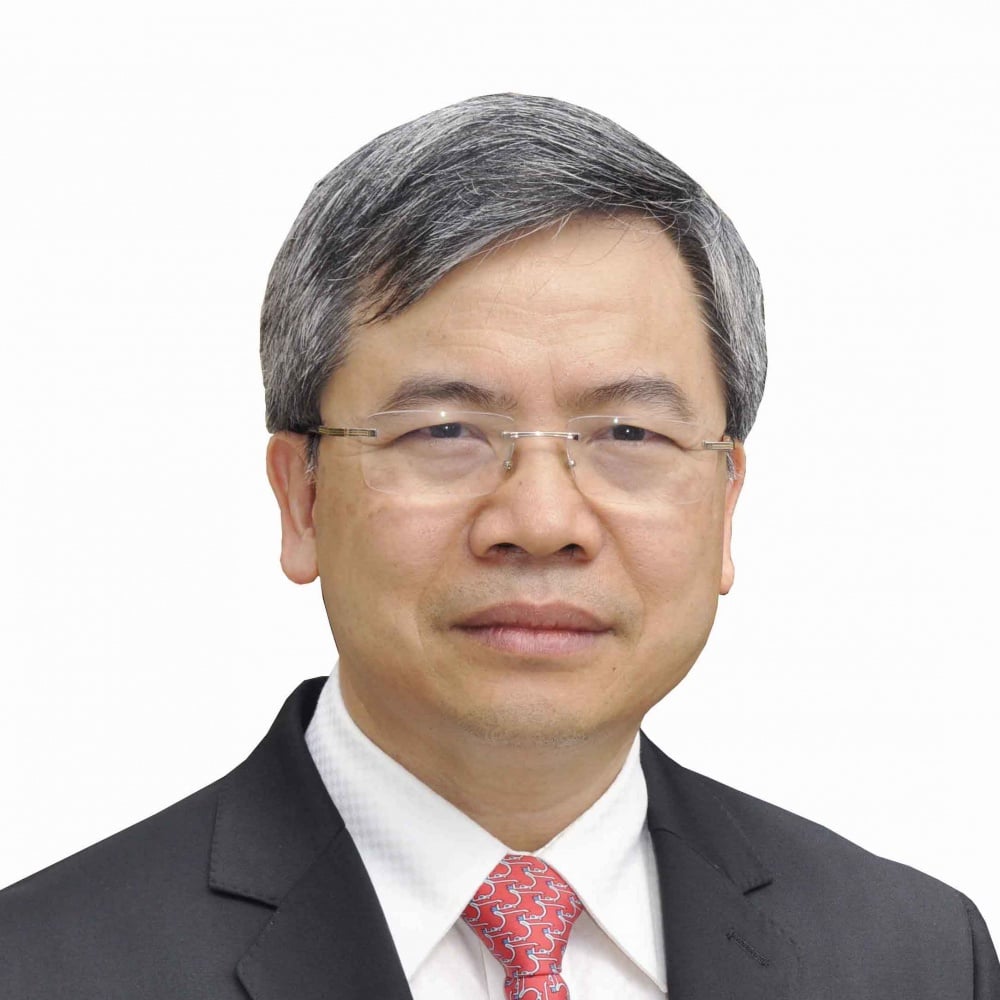 Phạm Minh Thông - Hình 1